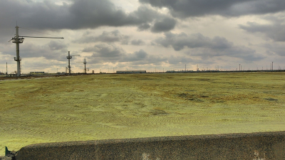 Тенгизшевройл рассказал о планах по рекультивации серных карт на Тенгизе