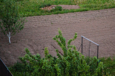 В Чечне погибло более 860 га посевов и 130 т семенного риса из-за подтоплений