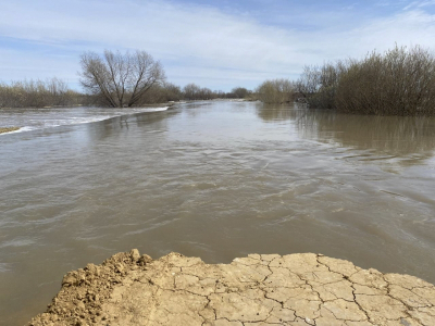 Паводок пришел раньше обычного: 14 поселков в Новосибирской области под угрозой затопления