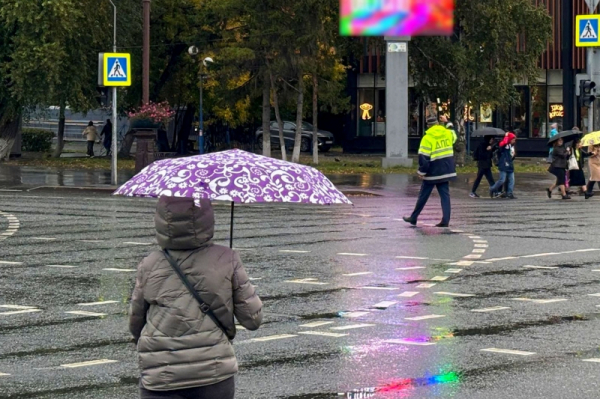 Дожди и похолодание придут в Приморье: синоптики дали прогноз на неделю