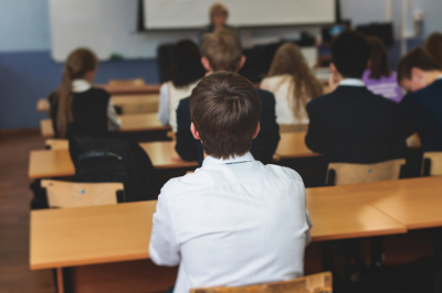 В Совфеде назвали причину частых нападений в школах