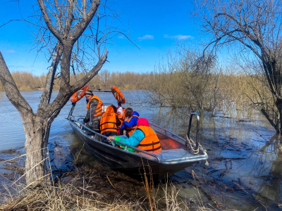 В Свердловской области за сутки освободились от воды 45 домов и 350 участков