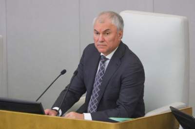 Оснований для выдворения мигрантов из России станет вдвое больше: детали