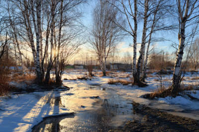 Приметы 1 марта &mdash; Ярилин день: встречаем весну в праздник солнца!