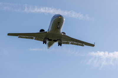 Буйный пассажир устроил переполох в самолете из Новосибирска