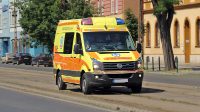 В Таиланде слон насмерть затоптал туриста в национальном парке