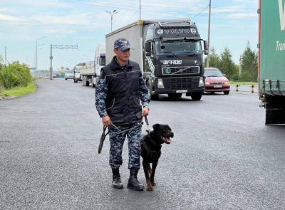 В Астане служебная собака обнаружила гашиш в авто