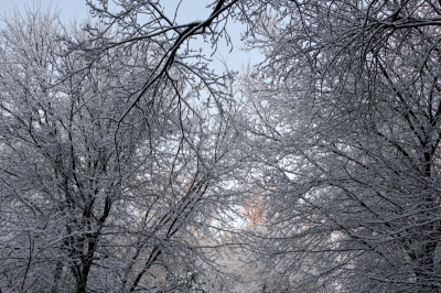 Зима возвращается в Приморье: мощный снежный циклон обрушится на регион
