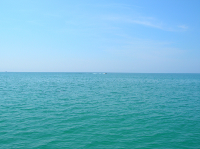 DEWA поможет ОАЭ к 2030 году перейти на чистую энергию для опреснения воды