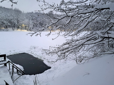 Чего ждут спасатели: новая правда о поисках семьи Усольцевых