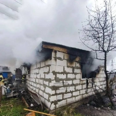 В страшном пожаре в Нижнем Новгороде сгорели 200 породистых собак