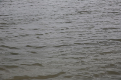 Вода придет на поля