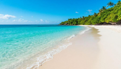 Сборы туристического налога в Приморье превысят 100 миллионов рублей