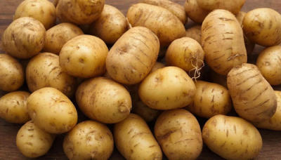 Готовимся к картофельному сезону: как правильно &laquo;разбудить&raquo; клубни и отобрать лучшие для посадки