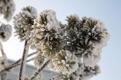 Арктический антициклон несет морозы в Казахстан