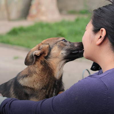 «У меня 35 собак и 9 кошек»: Алматинка Алма Омарова — о приюте и любви к животным