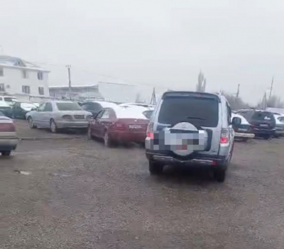 Без тормозов