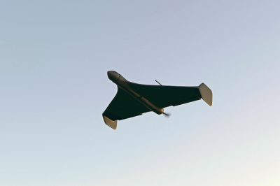 &laquo;Много загадок&raquo;: стало известно, может ли Германия создать аналог &laquo;Гераней&raquo;