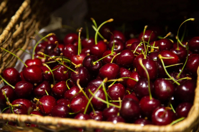 Врач Поляева заявила о важности правильного питания для здоровья сосудов