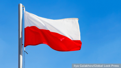 Считавшиеся вымершими 6 тыс. лет назад два вида опоссумов обнаружены живыми