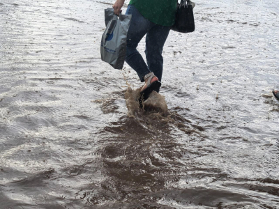 В Заполярье создана межведомственная группа для борьбы с паводками