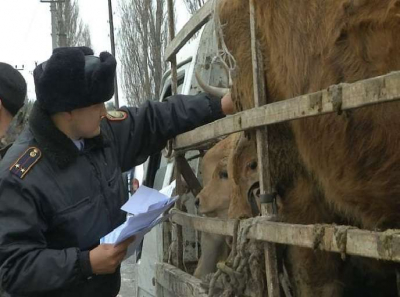 В борьбе с барымтой