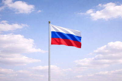 Мендель объяснила поддержку Макроном Зеленского опасениями за имидж