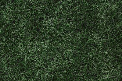 РБК: МВД завело дело против девяти российских футбольных судей