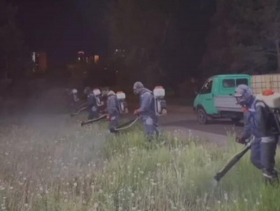 Борьбу с мошками и комарами продолжают в Астане