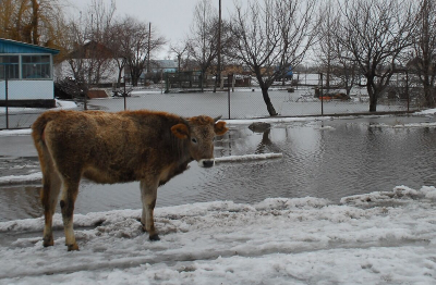 Ждать и готовиться